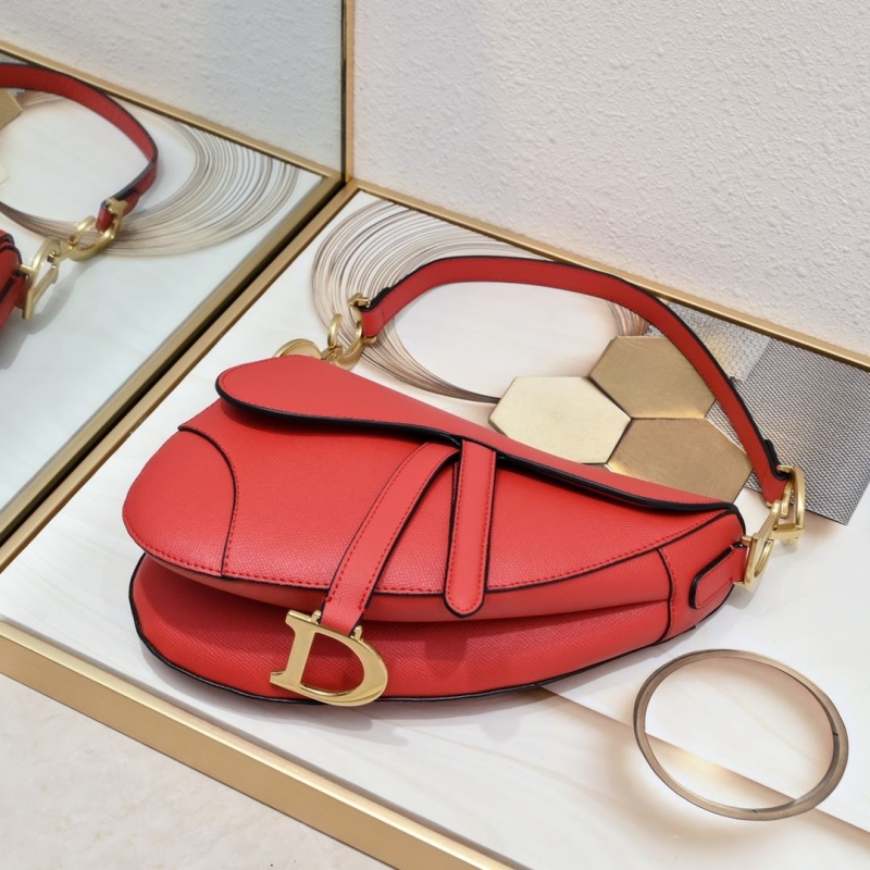 Dior Saddle Bags